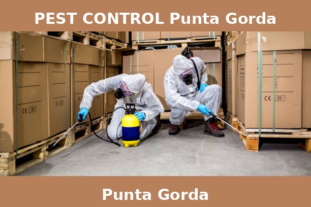 PEST CONTROL Punta Gorda